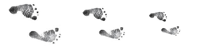 Many feet