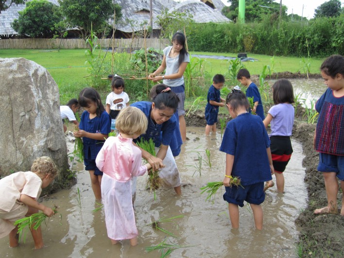 Students planting rice at Panyaden School, bilingual school in Chiang Mai, Thailand