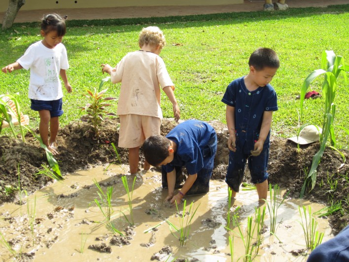 Students of Panyaden School wading in rice paddy field