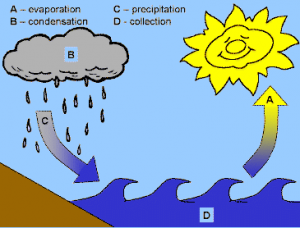 Screen shot 2012-04-21 at PM 05.04.13 Water cycle chart courtesy of www.kidzone.ws