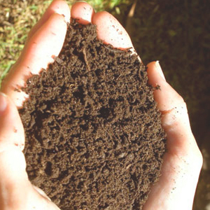 Soil