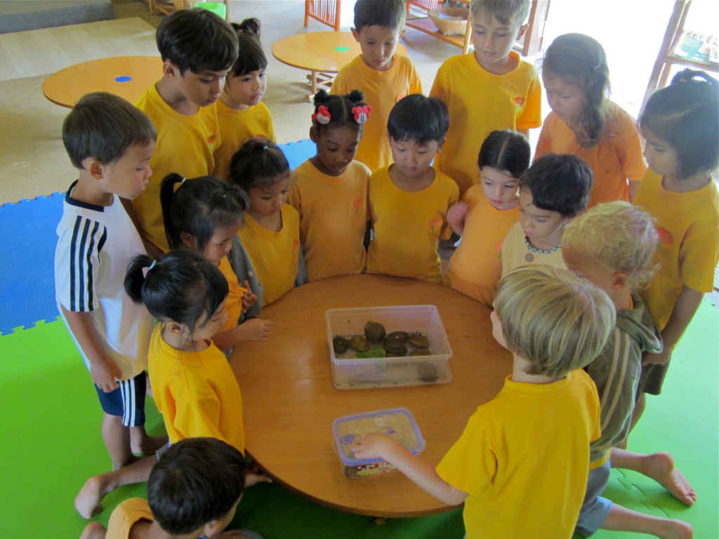 Kindergarten students in class, Panyaden School Chiang Mai IMG_2404 Students sharing their learning in class, Panyaden School