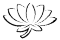 lotus2 transparent